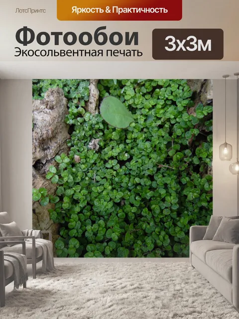 Фотообои Зеленые растения близко