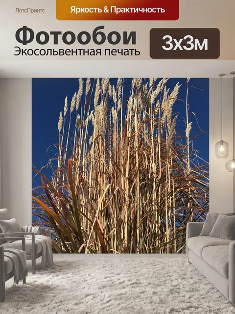Фотообои Трава