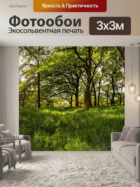 Фотообои Зеленый лес