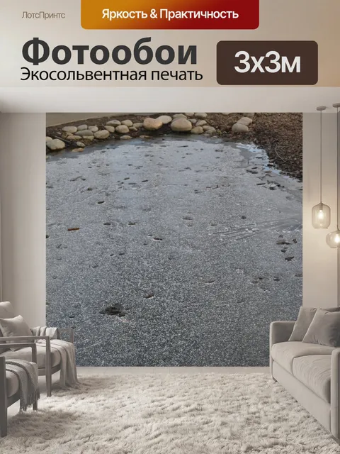Фотообои лужа, лёд
