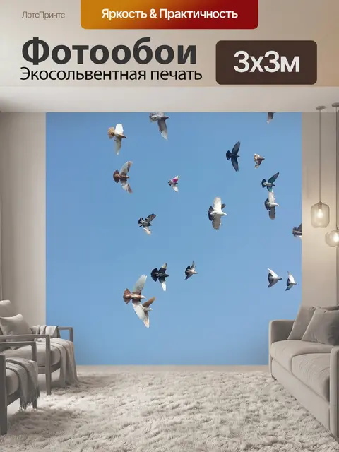 Фотообои Птицы