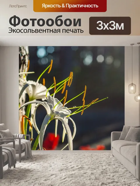 Фотообои Красивый свет