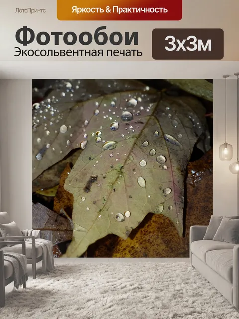 Фотообои Осенние листья и капли дождя