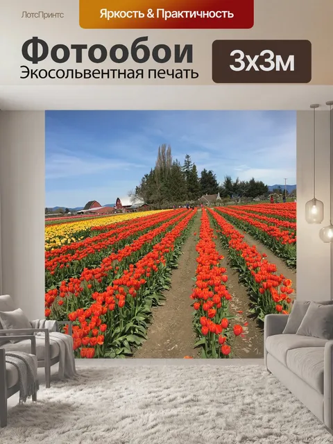 Фотообои Красный
