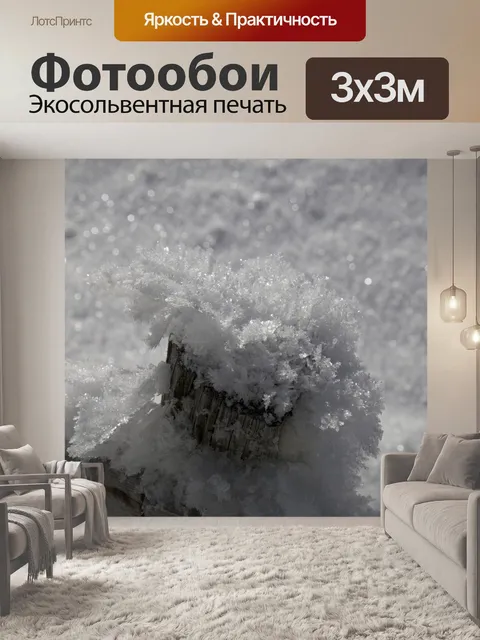 Фотообои Зима