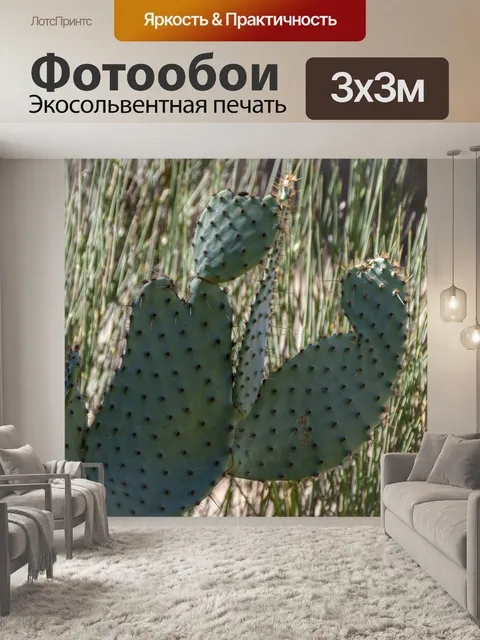 Фотообои Нотальные кактусы