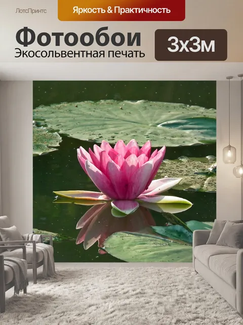 Фотообои Водяные лилии