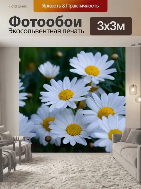 Фотообои Дэйзи цветы Макрос изображение