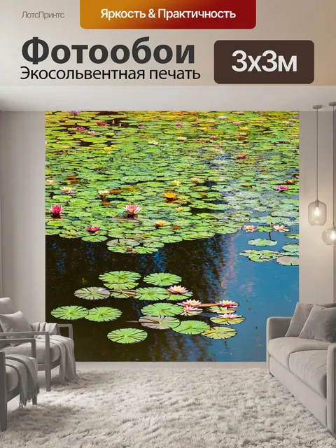 Фотообои поле прудов с лилиями, отражающими радугу в ясном водном зеркале, и легкий ветерок вызывает легкие волны