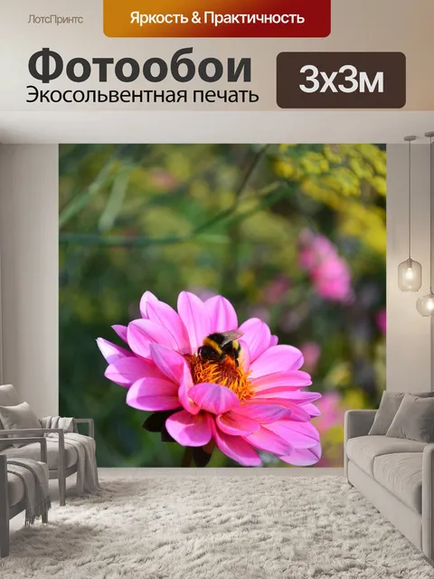 Фотообои Франция
