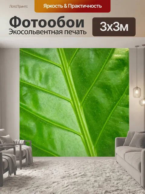 Фотообои Детали зеленого листа