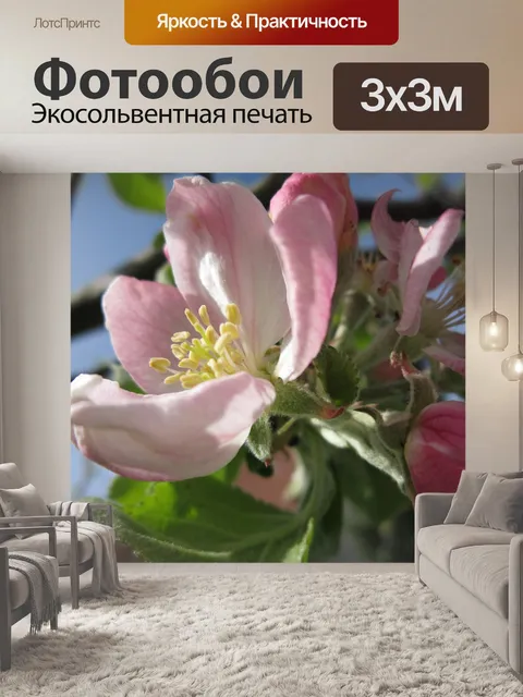 Фотообои Яблоневый цвет
