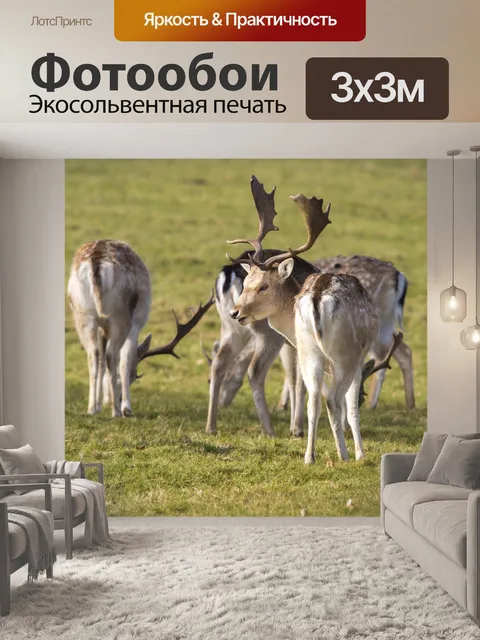 Фотообои олень