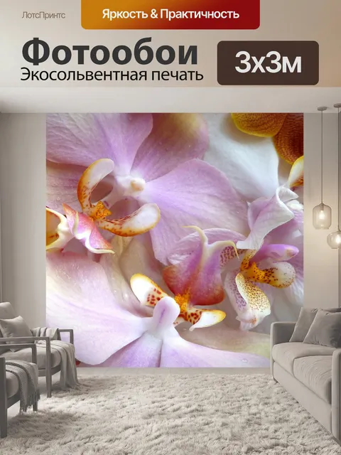 Фотообои Орхидеи