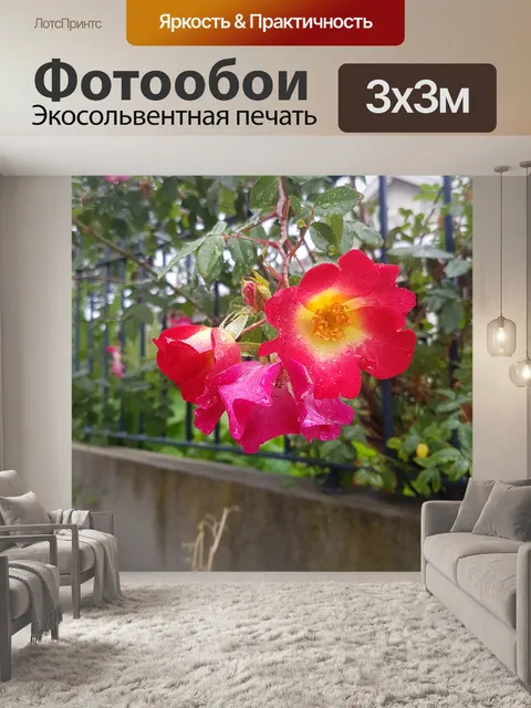 Фотообои Розовая и желтая роза
