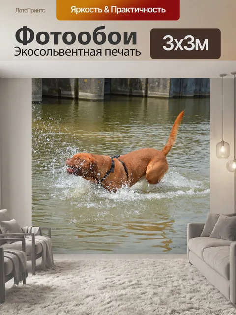 Фотообои Мутной воде 8