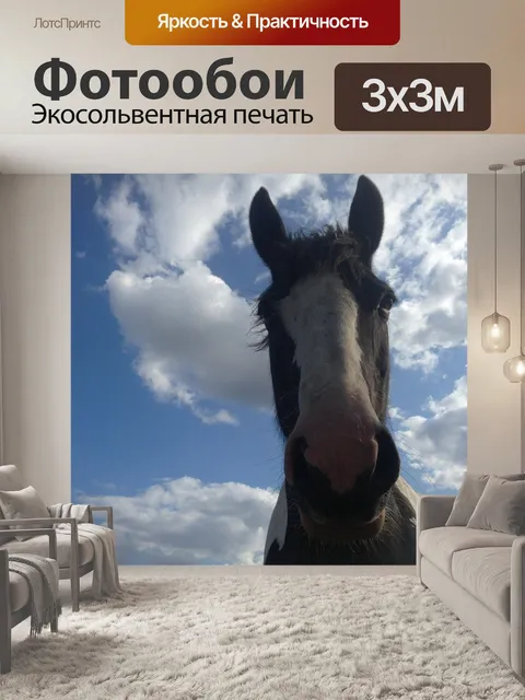 Фотообои Лошадь