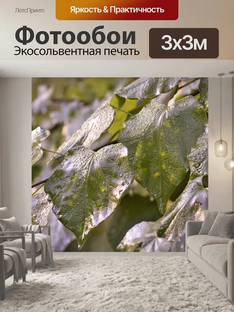 Фотообои Капли воды