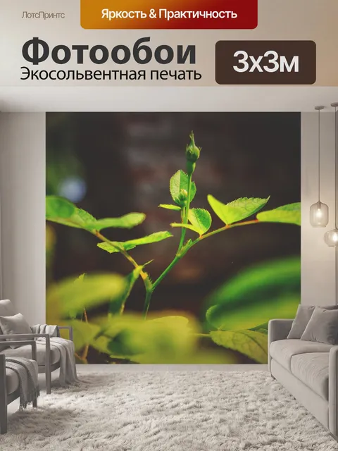 Фотообои Природа