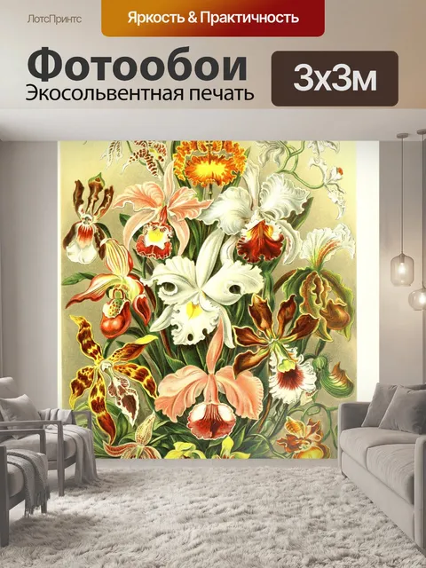 Фотообои Орхидеи семейства орхидных Orchidaceae