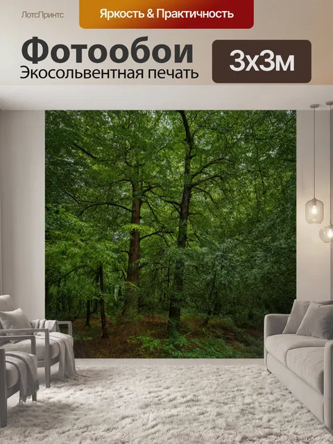 Фотообои лесная сцена с крупными деревьями и густыми кронами листвы