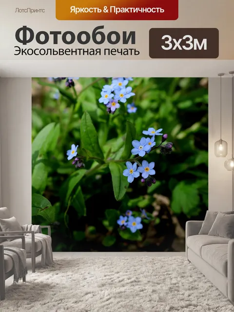 Фотообои Фиолетовый