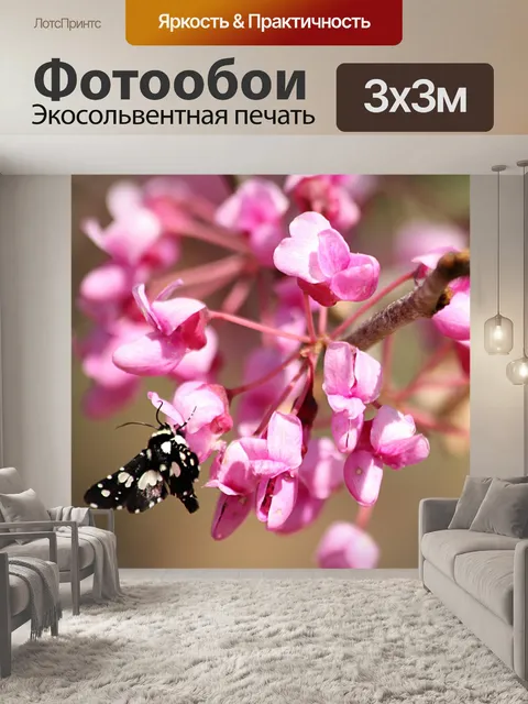 Фотообои Черно-белая моль на дереве Redbud