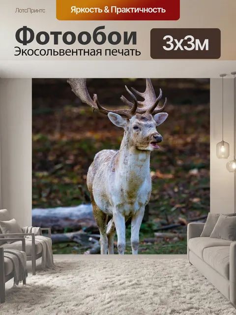 Фотообои Природа