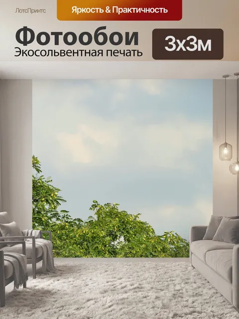 Фотообои Tipuana верхушки дерева