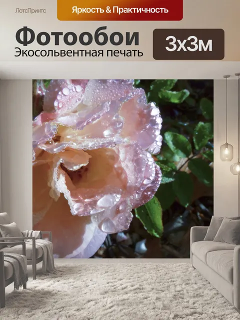 Фотообои Влажные Розовые розы