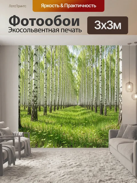 Фотообои Березовая роща с зеленой поляной