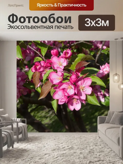 Фотообои Райские яблоки