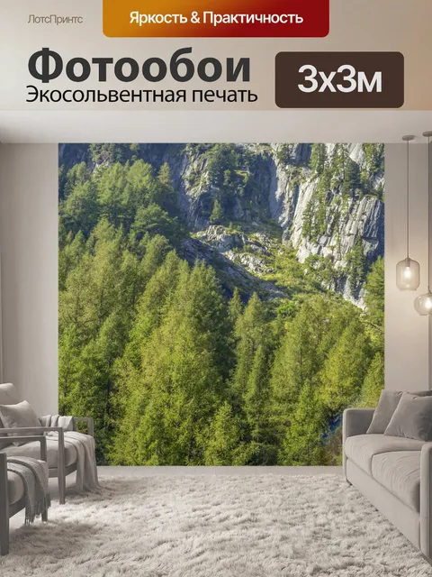 Фотообои Летний лесной путь