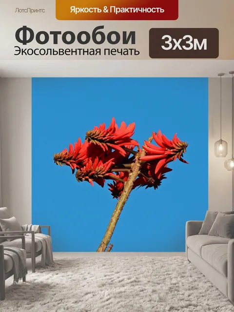 Фотообои красный цветок карины эритрины