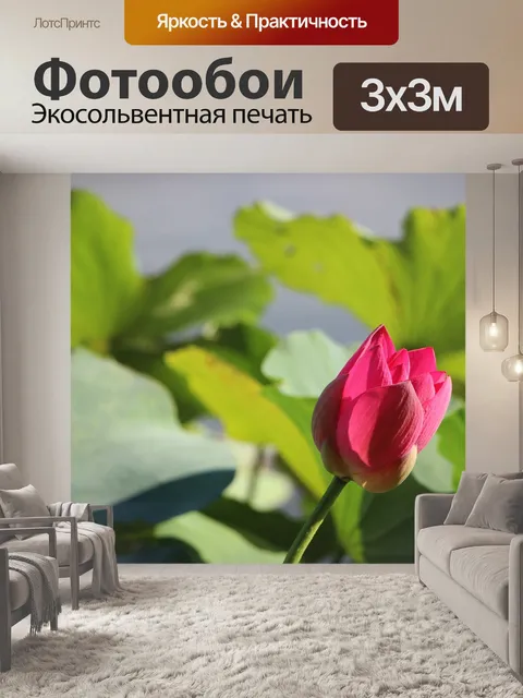 Фотообои Цветок