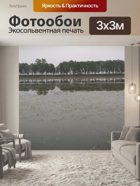 Фотообои Тень