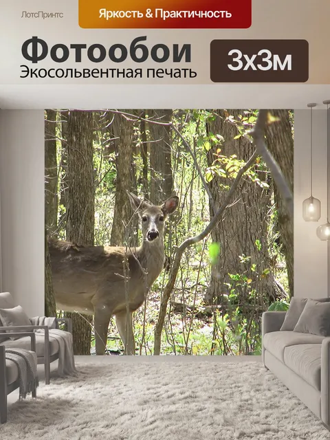 Фотообои Олень