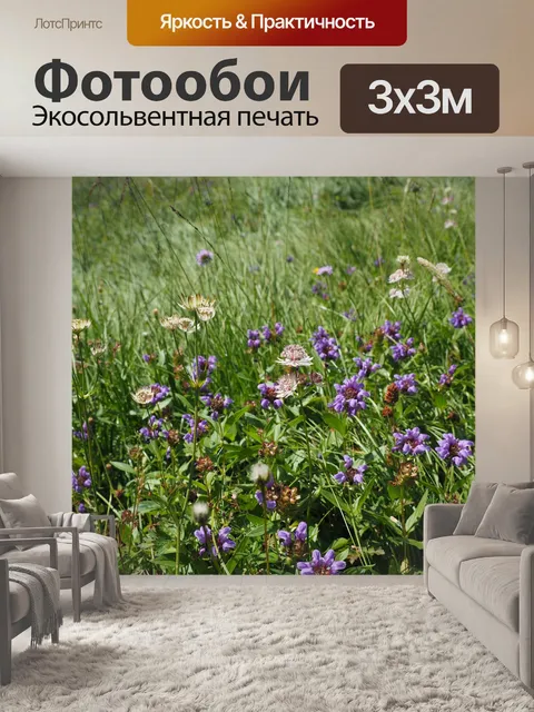 Фотообои Альпийский луг