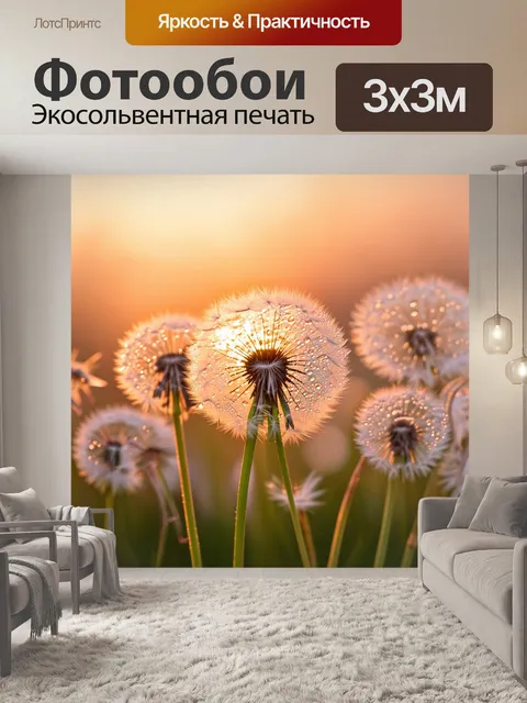 Фотообои изображение нежных одуванчиков, покрытых утренней росой, на фоне мягкого заката