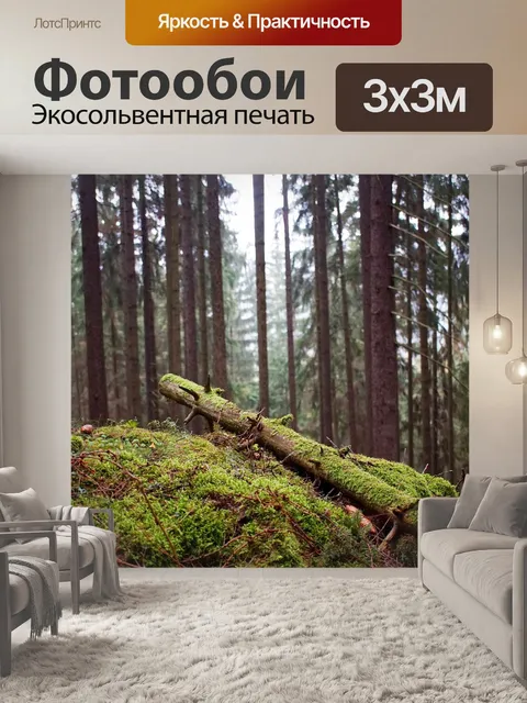 Фотообои Древесина