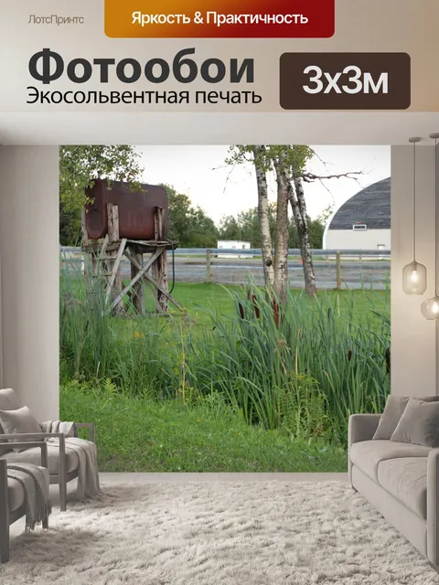 Фотообои стабильный