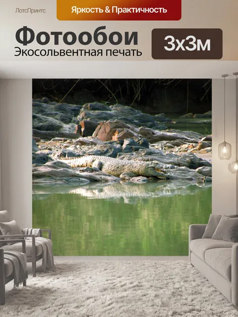 Фотообои Крокодил на берегу реки