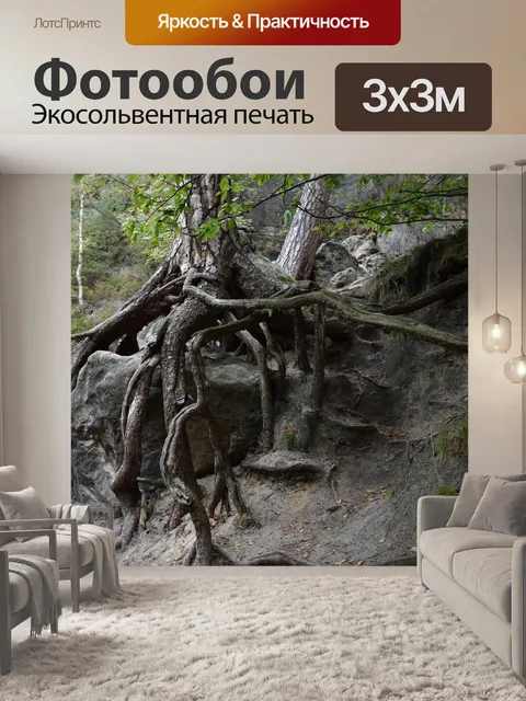 Фотообои Корень