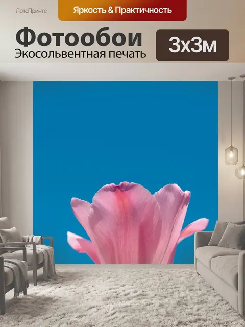 Фотообои Тюльпан