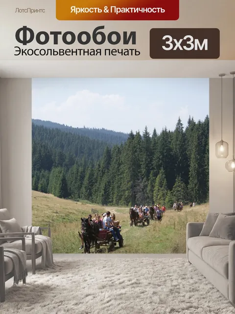 Фотообои Колесница