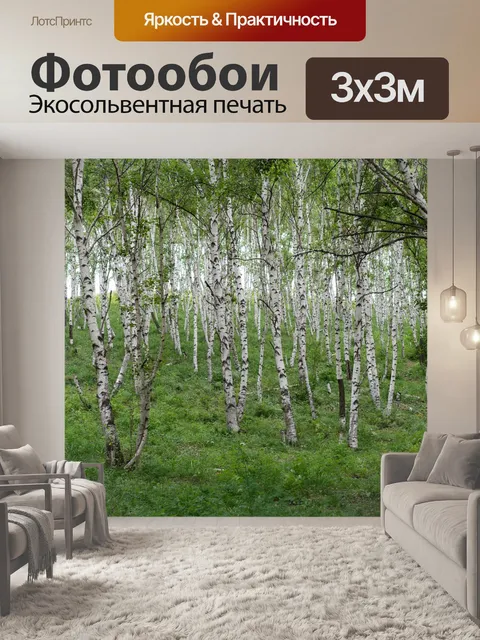 Фотообои Березовый лес