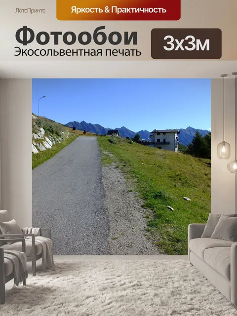 Фотообои Лес