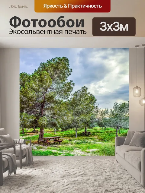 Фотообои Роща