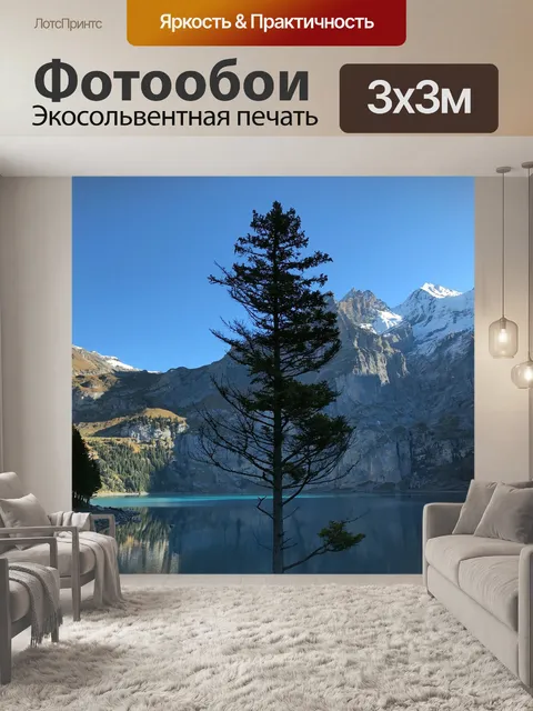 Фотообои Ель