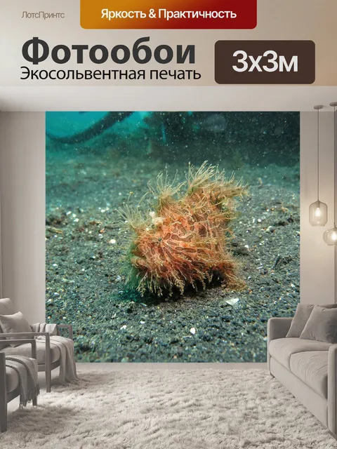 Фотообои Морской черт
